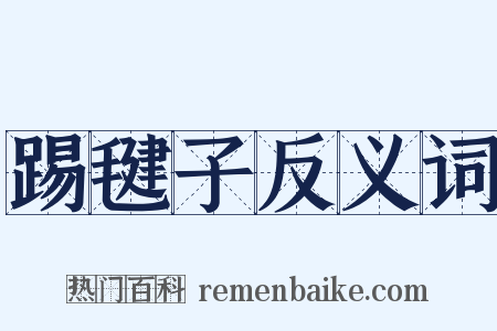 踢毽子反义词是什么意思的图片